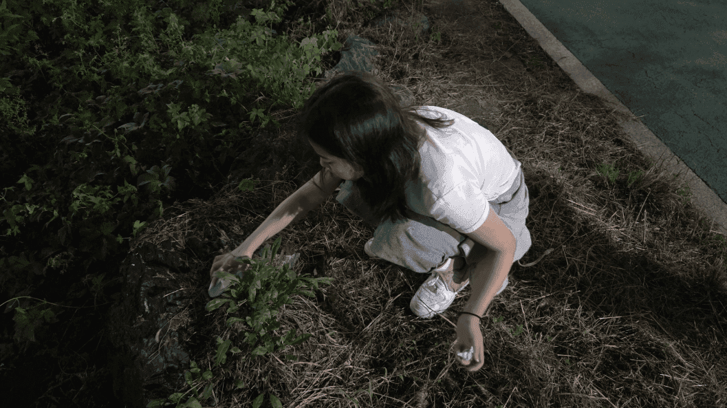 겨울이 오기 전, 중랑천을 다시 깨끗하게